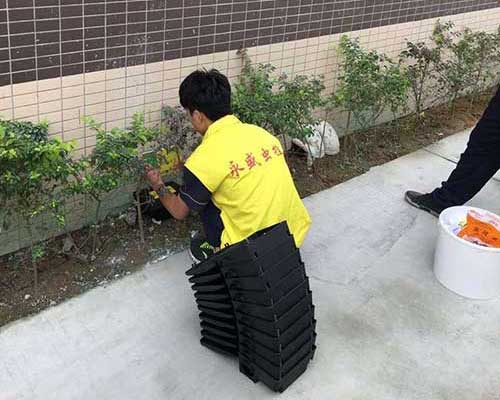 中山永盛工廠蟲害防治施工現場